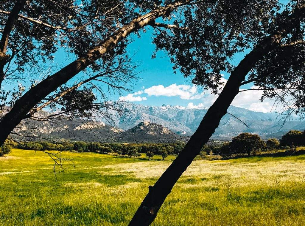 Lumio Corse nature