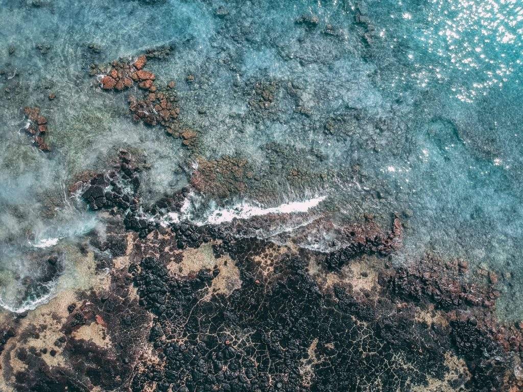 récif île maurice