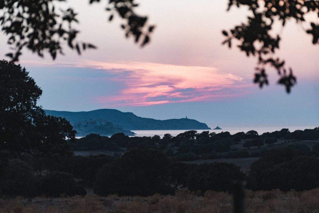 Vignoble corse : clos culombu en corse