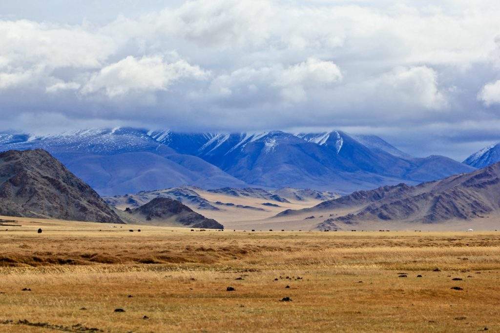Plaine dorée entourée de montagnes enneigées sous un ciel nuageux