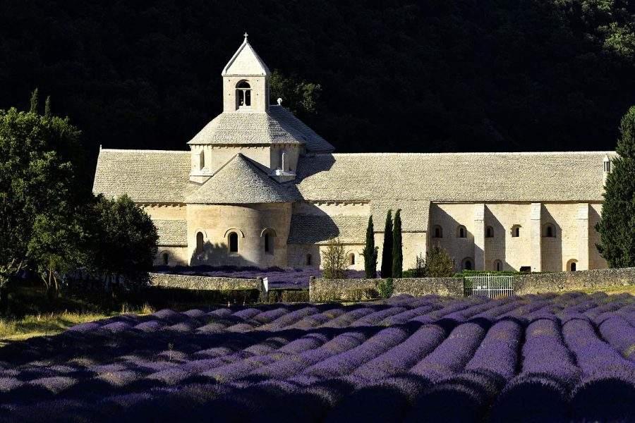 L'Abbaye de Sénanque