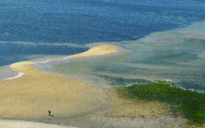L’Île de Ré : Un Voyage Photographique au Cœur de l’Atlantique