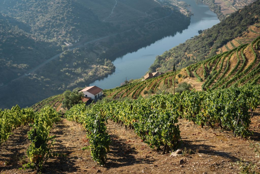 Douro Valley portugal