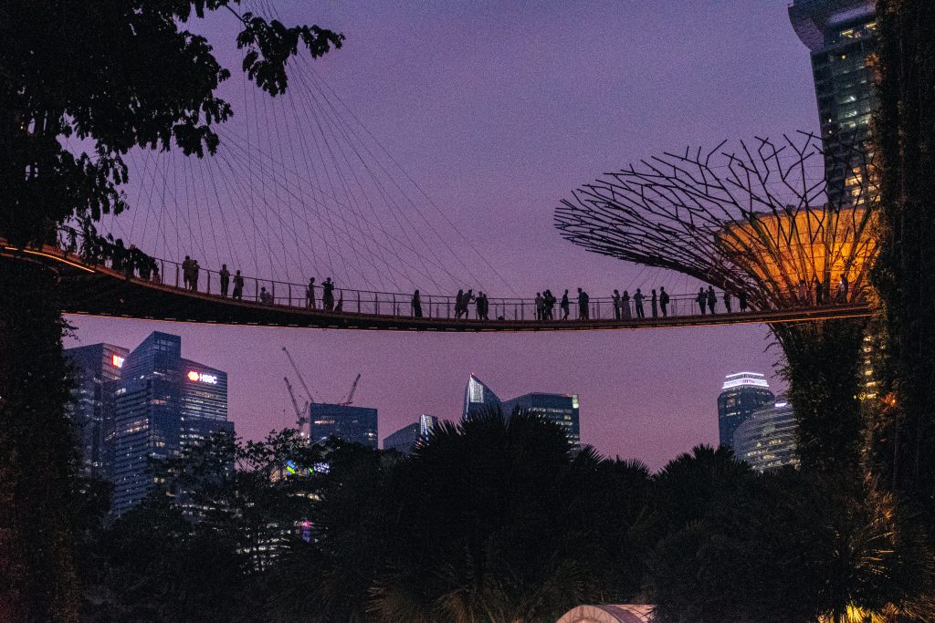 Jardins de la Baie nocturne Singapore - Jean-Baptiste Nore