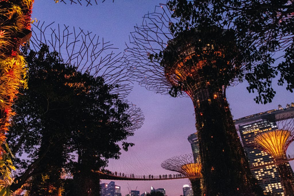 Jardin de baie Singapore - Jean-Baptiste Nore