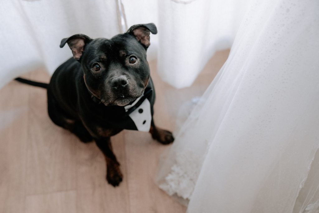 Photographe Mariage Jean-Baptiste Nore - Rueil Malmaison 92500